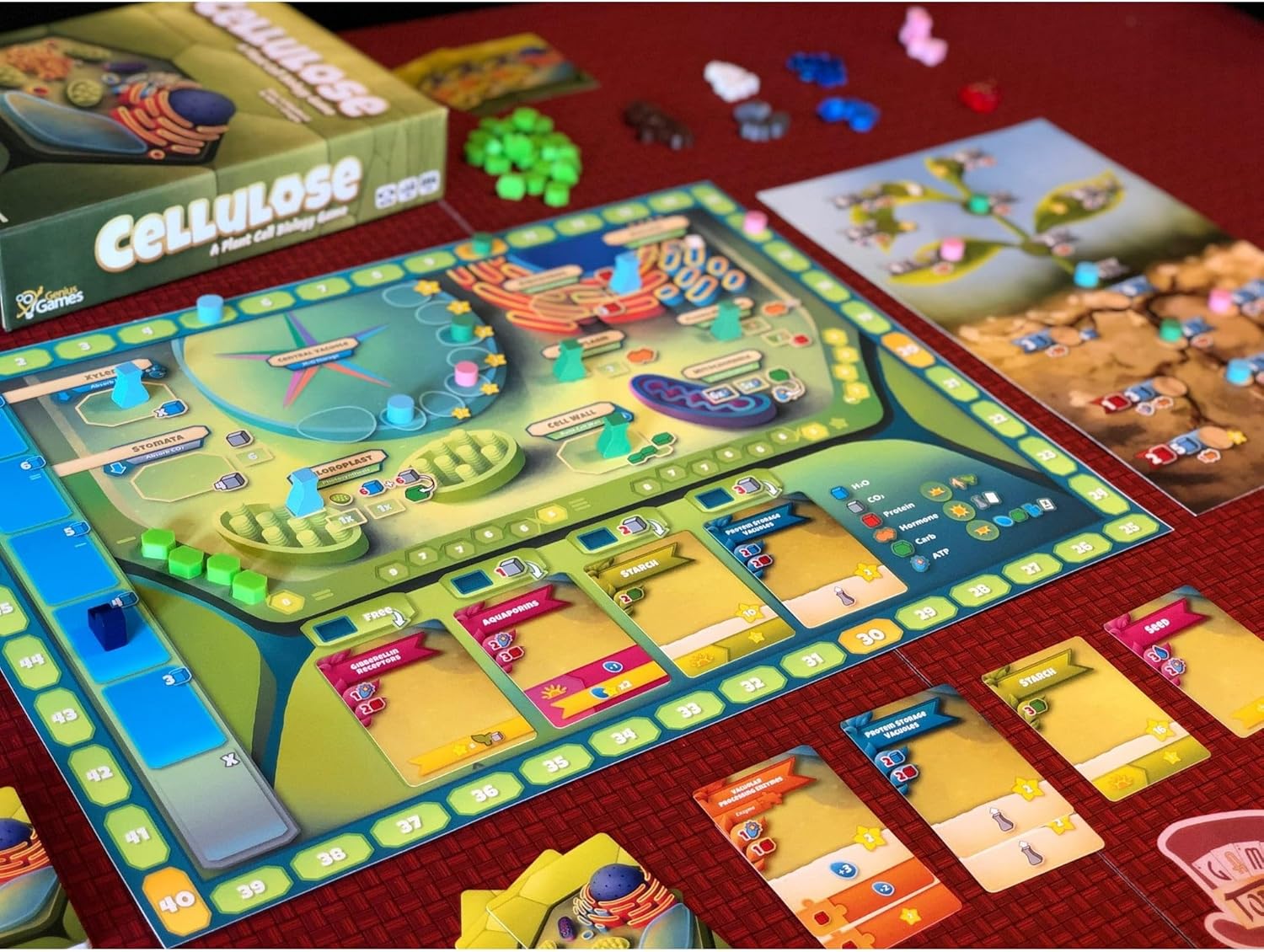 Cellulose board game 3D angled box render showing plant cell artwork and game title, science gift