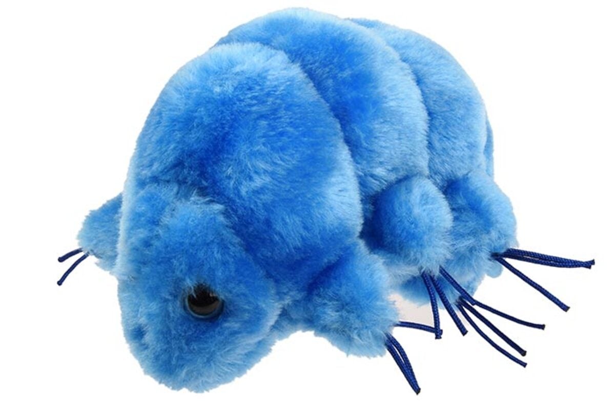 GIANTmicrobes water bear tardigrade plush toy second angle view, science gift for biology or zoology students