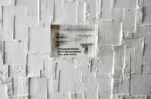 SR-71 Blackbird Titanium (Jet Blueprint)