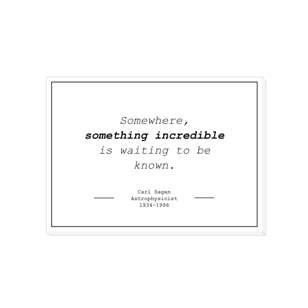 Genius Lab Gear's Carl Sagan "Something Incredible" canvas wrap, gift for scientists