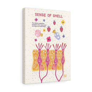 Olfactory sense of smell diagram anatomy illustration biology science wall art canvas