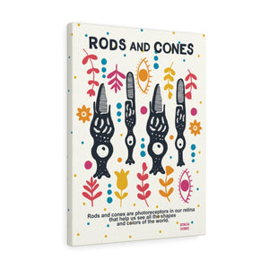 Rods and cones vision seeing colors anatomy illustration biology science wall art canvas