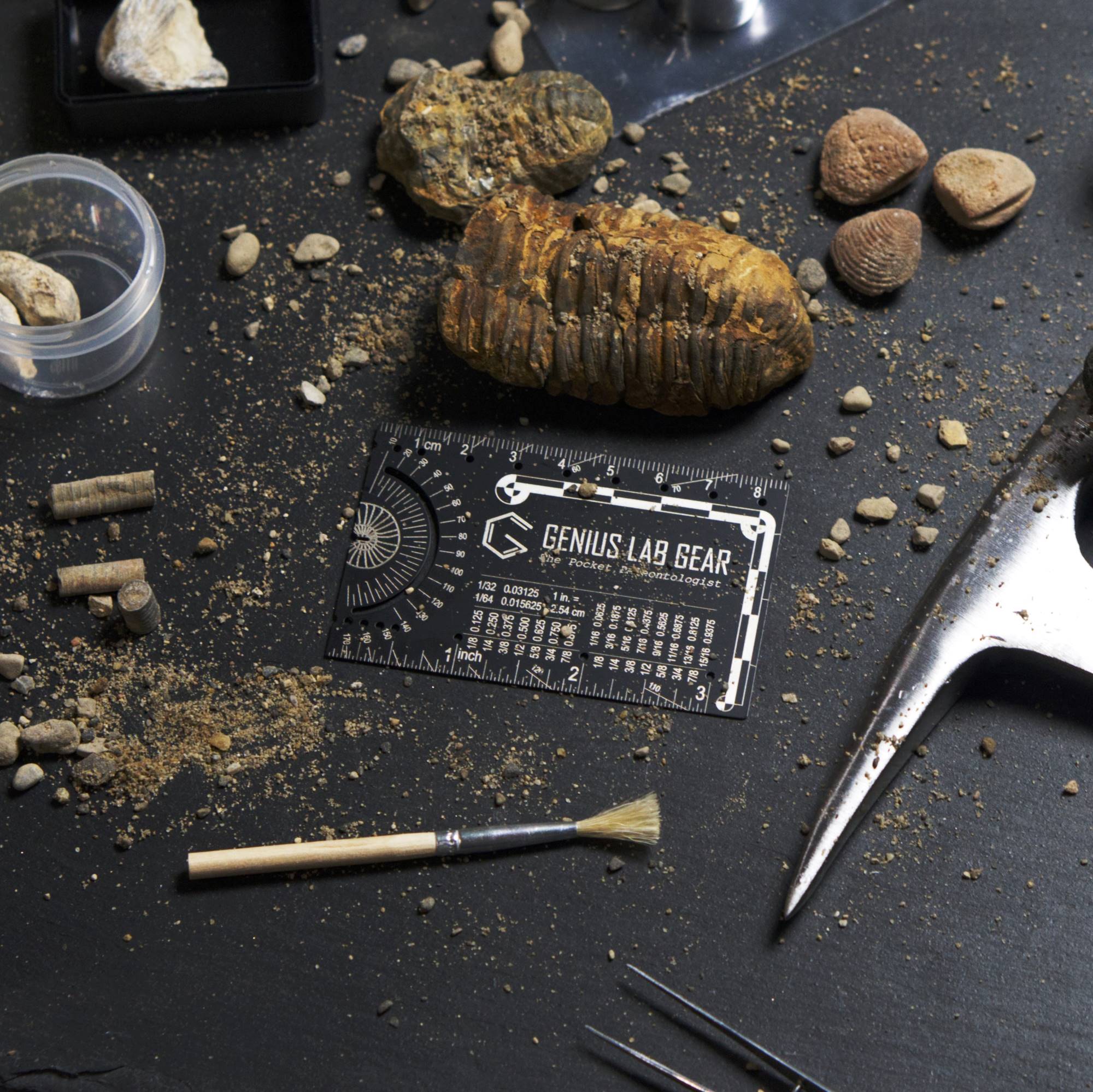 GLG - the pocket paleontologist fossil digging wallet tool