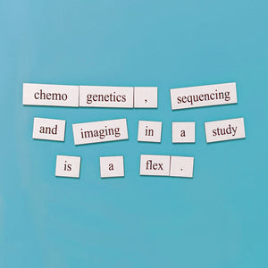 Neuroscience poetic word magnets