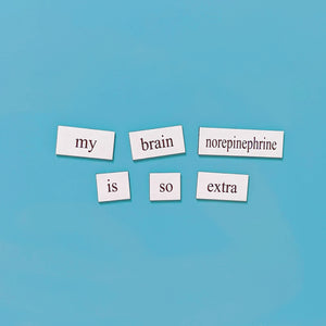 Neuroscience word magnets