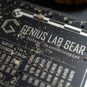GLG - pocket paleontologist by genius lab gear for rock hounding minerals