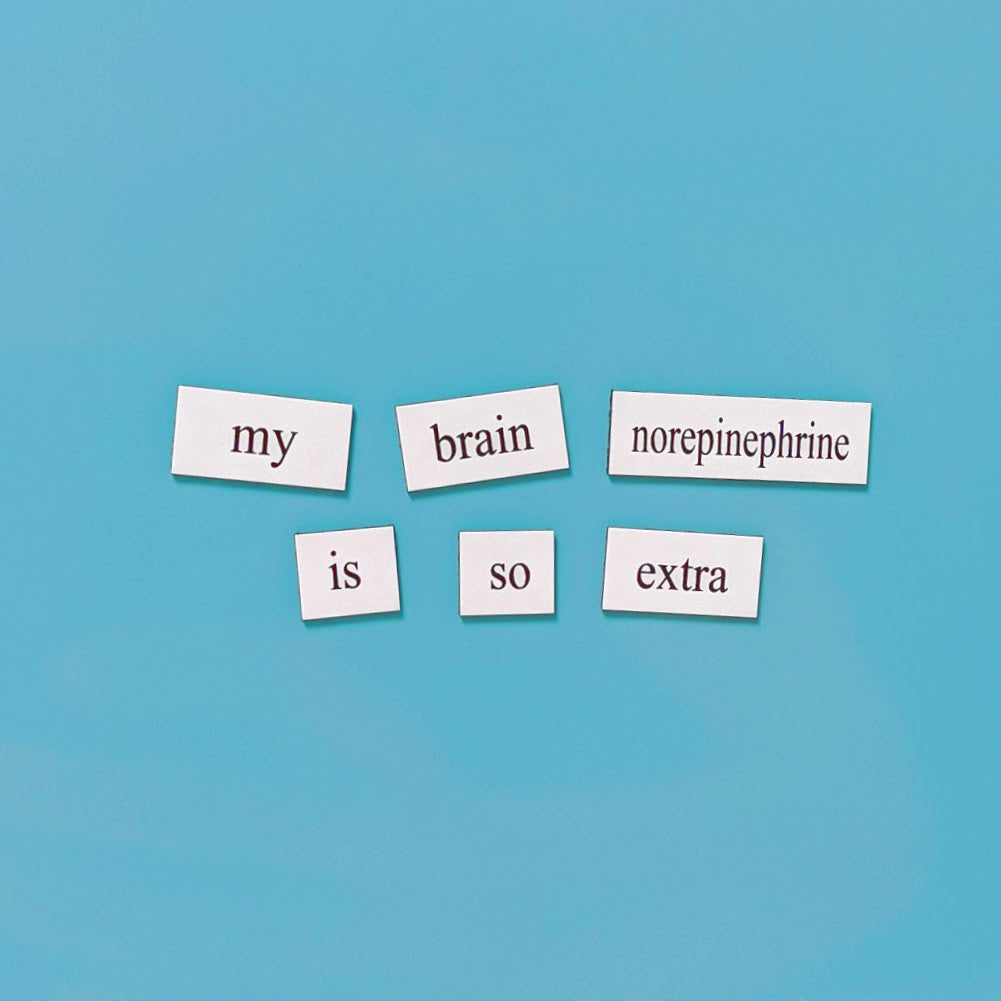 How language is processed by your brain | CNN