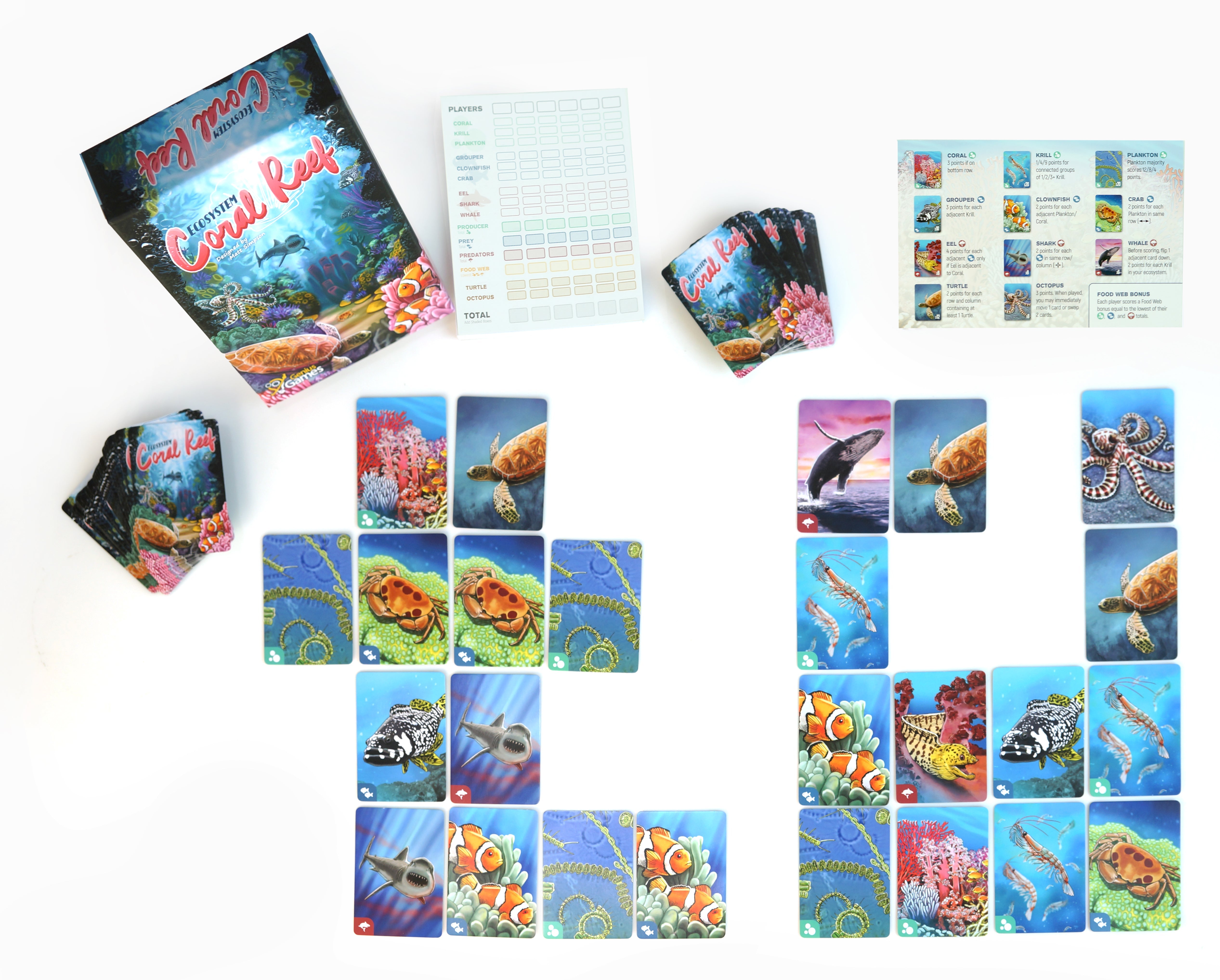 Ecosystem Coral Reef game cards spread out showing aquatic animal illustrations, gift for scientists