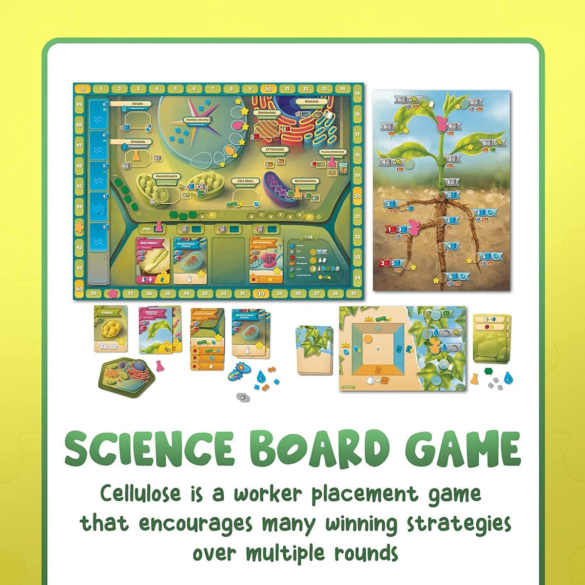 Cellulose: A Plant Cell Biology Game (Ages 14+)