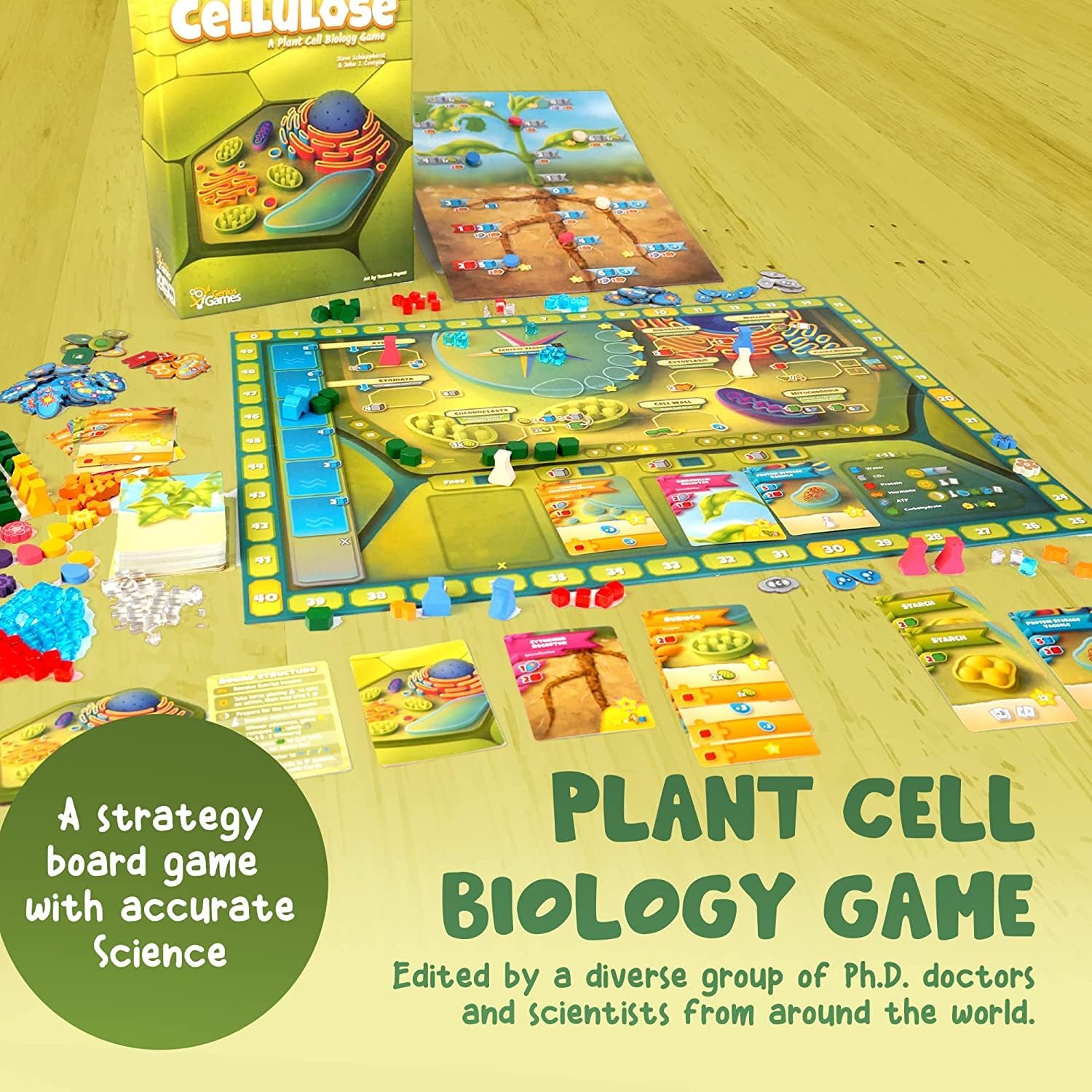 Cellulose plant cell game showing DNA and chromosome card mechanics, educational gift