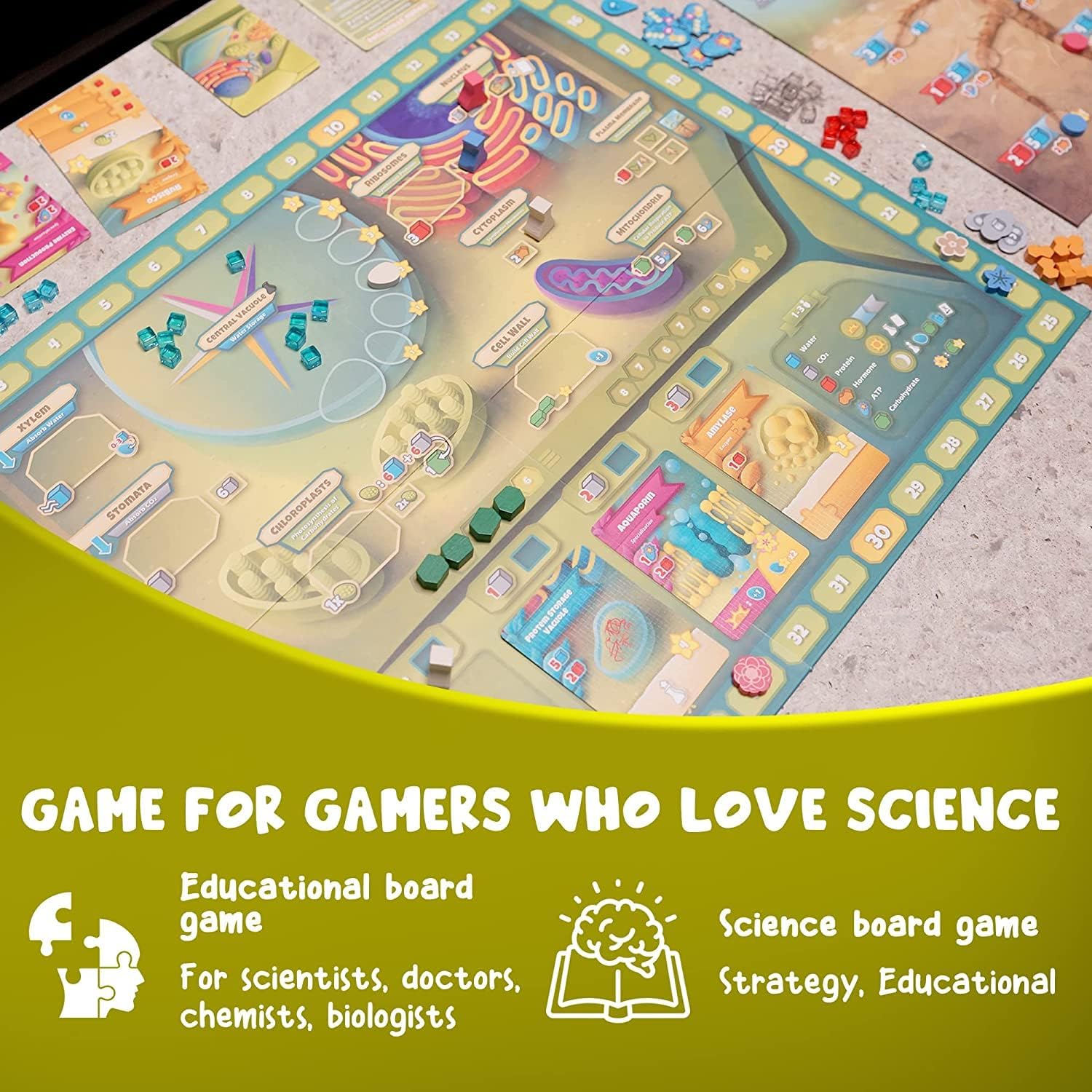 Cellulose plant cell biology board game box contents showing all game components, educational gift