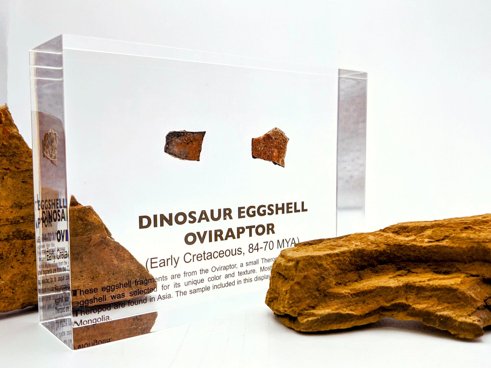 Genuine Gobi Desert Oviraptor eggshell fossil display with natural rocks, collector gift for fossil fans