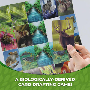 Ecosystem game showing animal habitat cards and food chain mechanics, educational gift