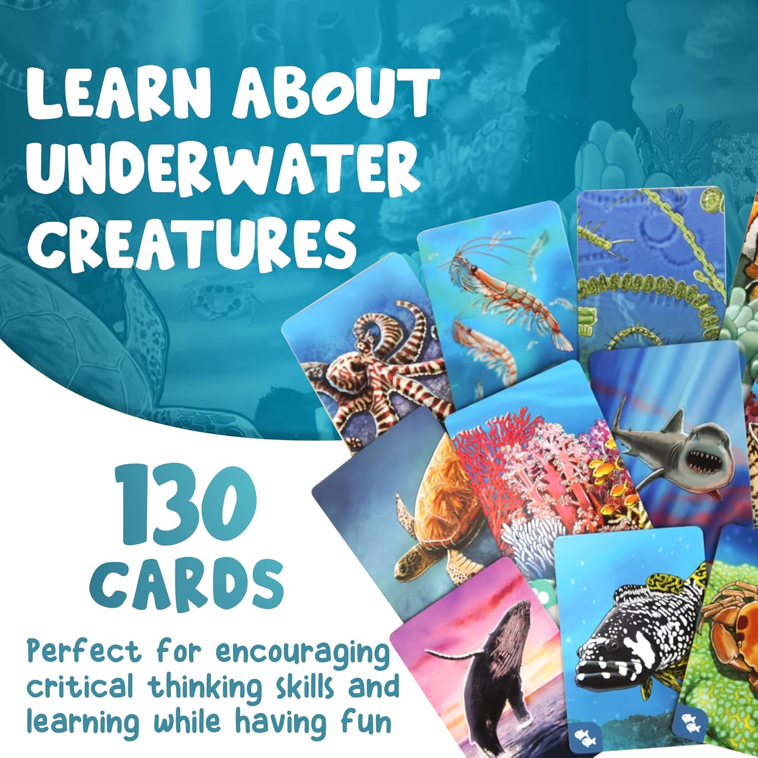 Ecosystem: Coral Reef (Ages 8+)