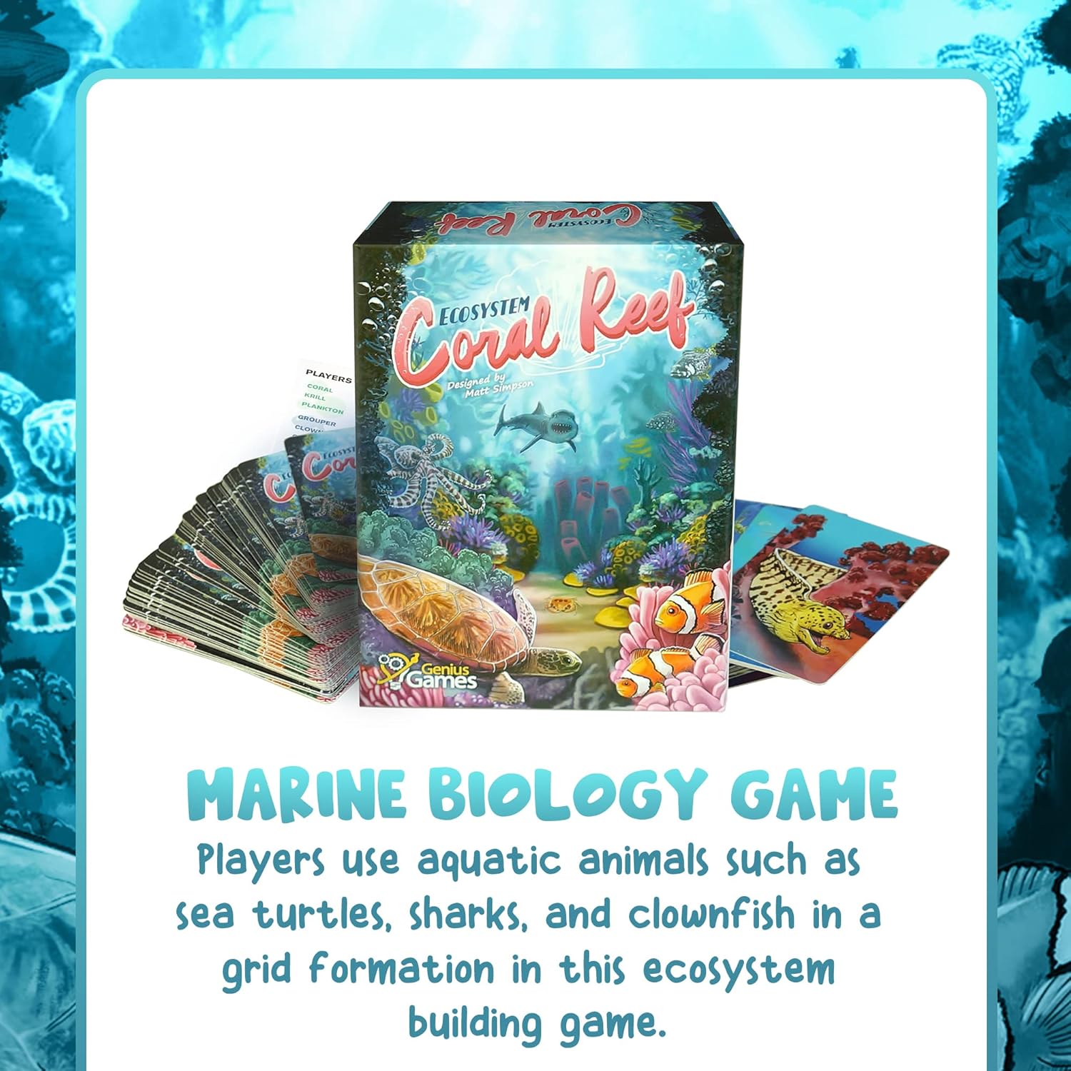 Ecosystem Coral Reef game showing reef animal cards, educational gift for ages 8 and up