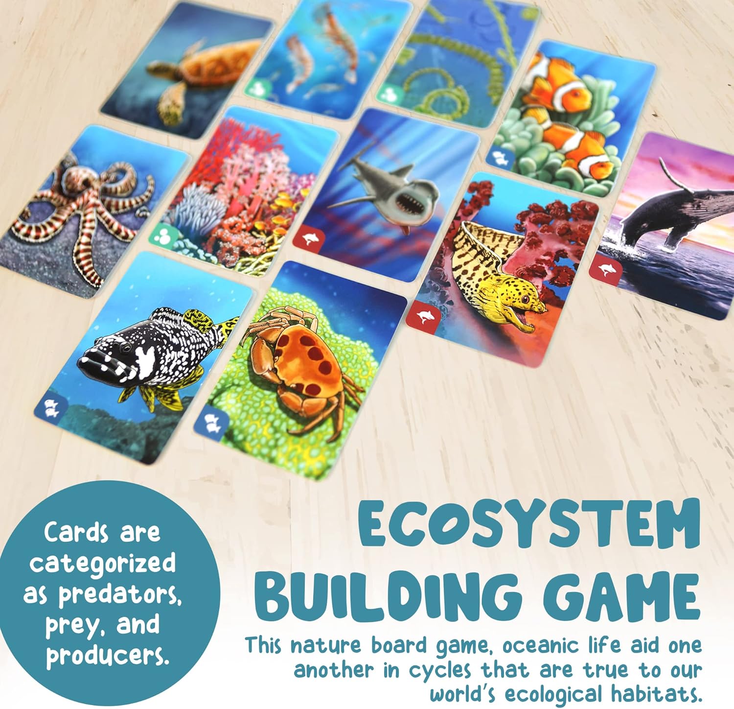 Ecosystem Coral Reef family card game in play, science gift for ages 8 and up