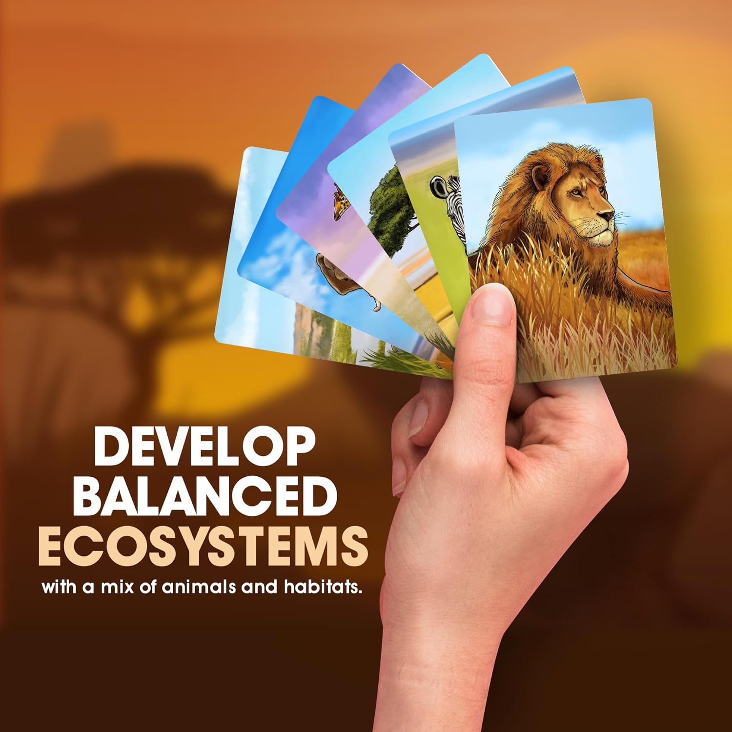 Ecosystem Savanna family card game being played, educational gift for kids 8 and up