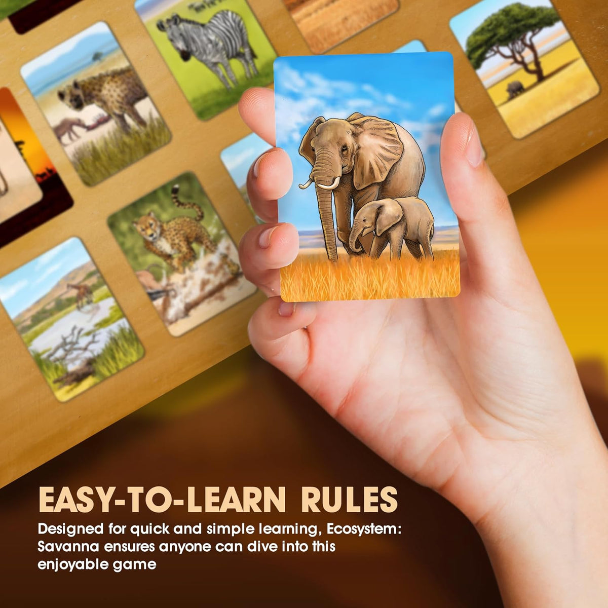 Ecosystem Savanna game showing predator and prey cards, science gift for families