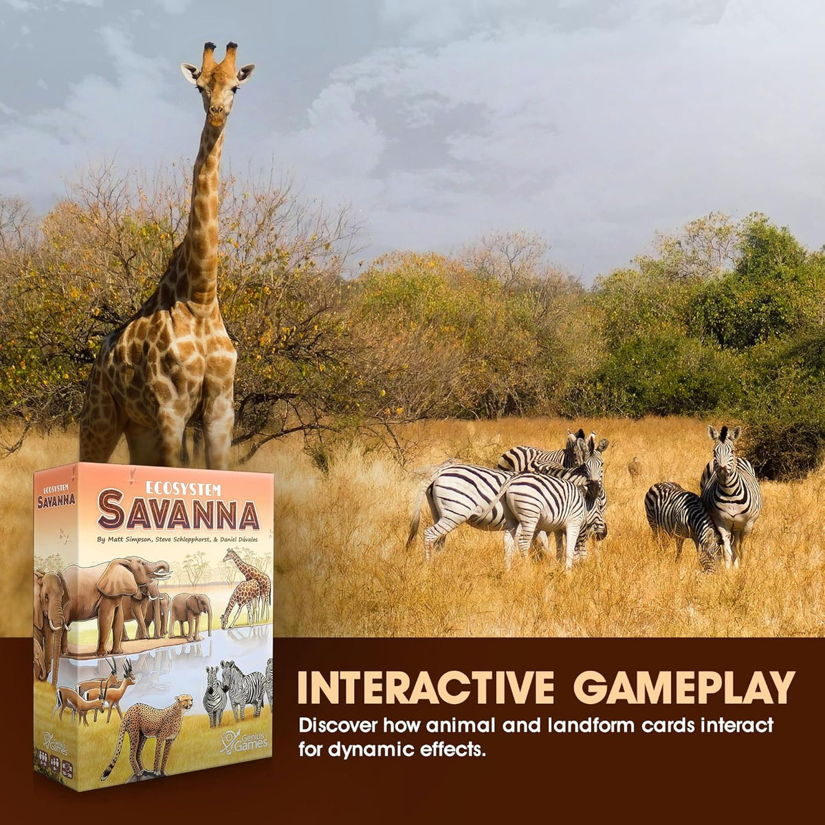 Ecosystem Savanna card game showing food web and animal habitat card mechanics, gift for scientists