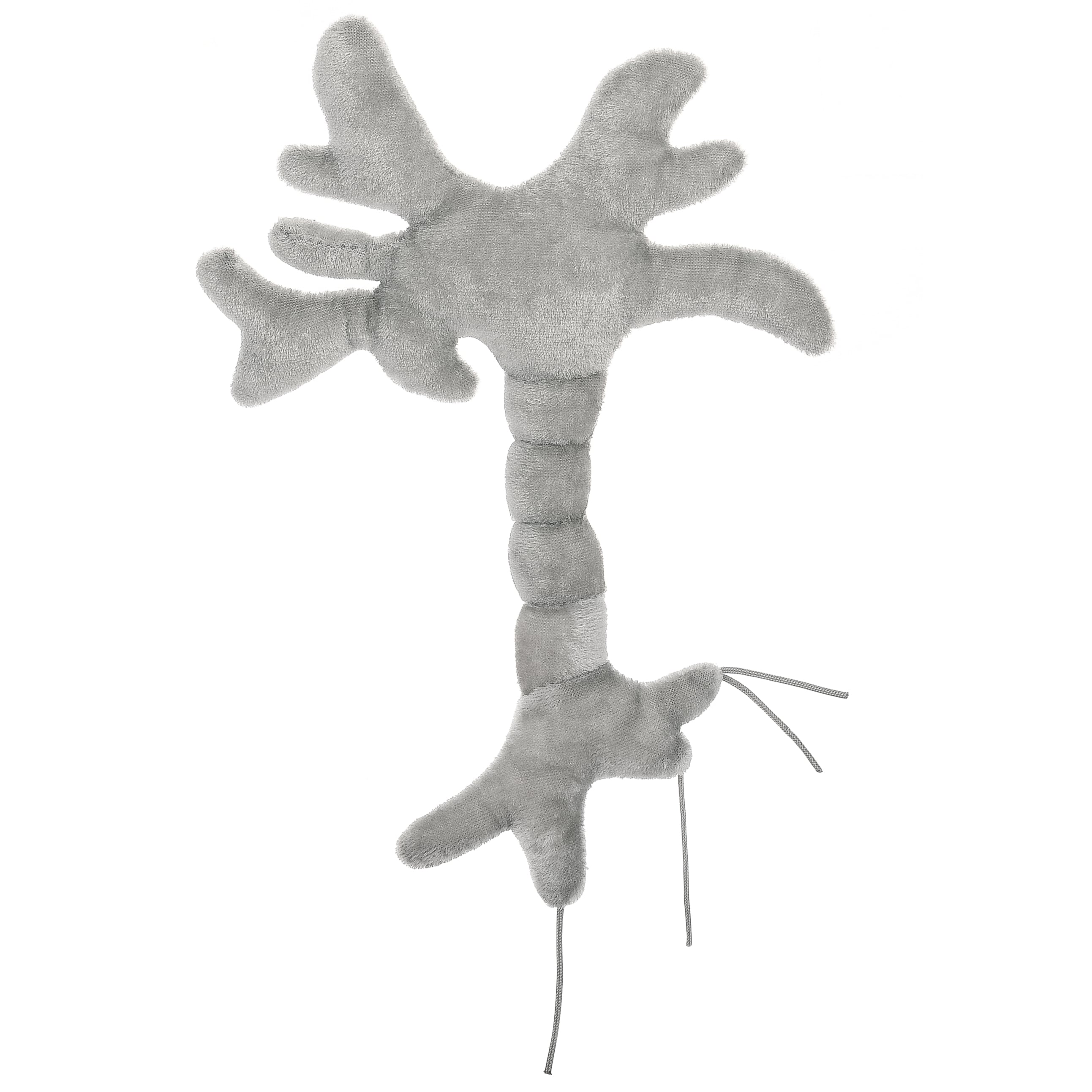 GIANTmicrobes brain cell plush toy back view showing neuron detail, science gift for pre-med students