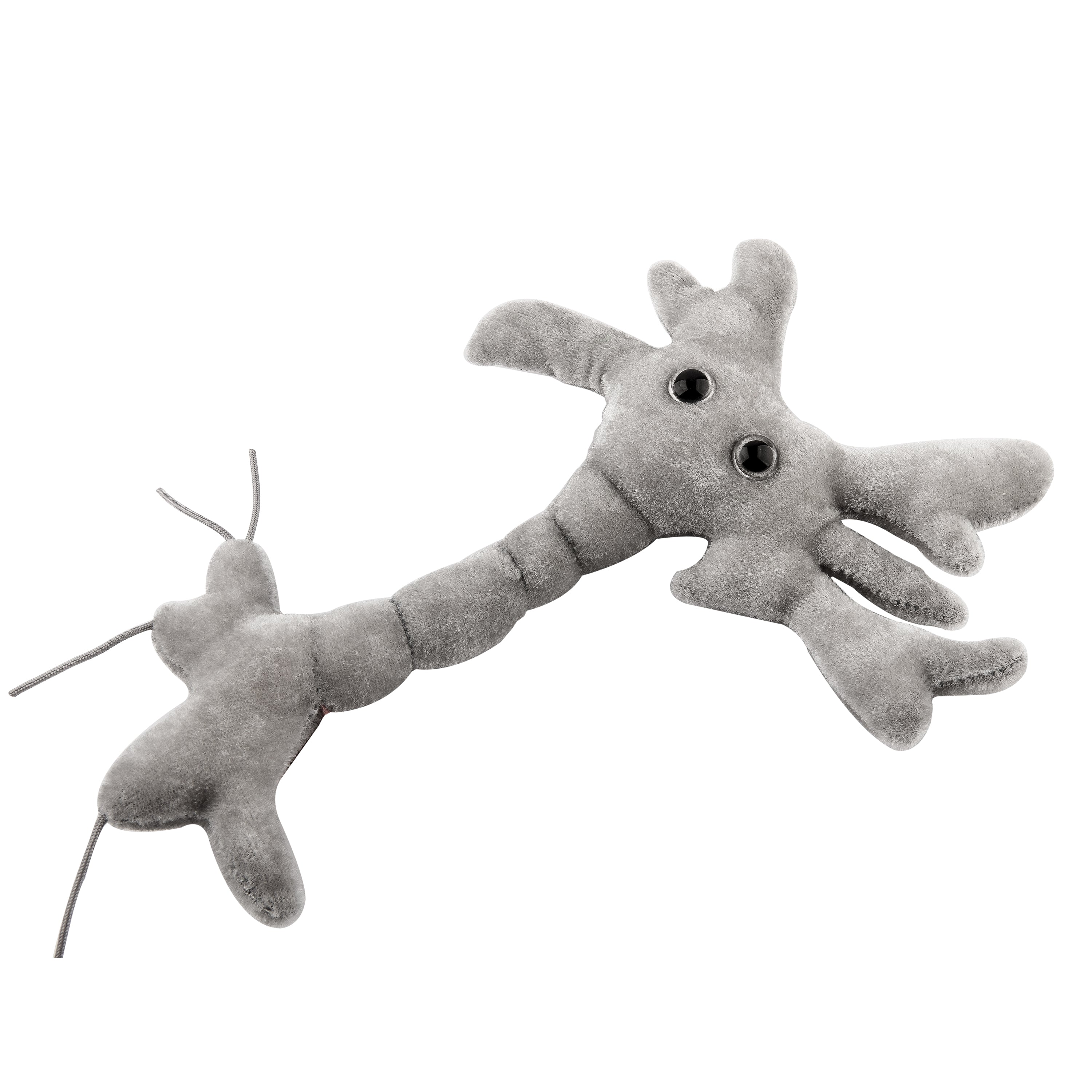 Brain Cell (Neuron) Plush | Science Gift for Neuroscientists