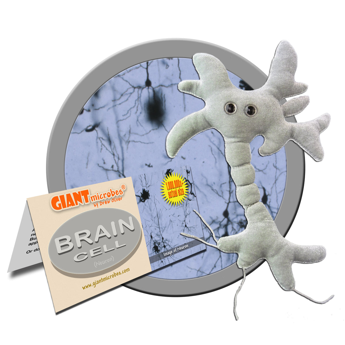 GIANTmicrobes brain cell neuron plush in boxed packaging, science gift for neuroscience or cognitive science students