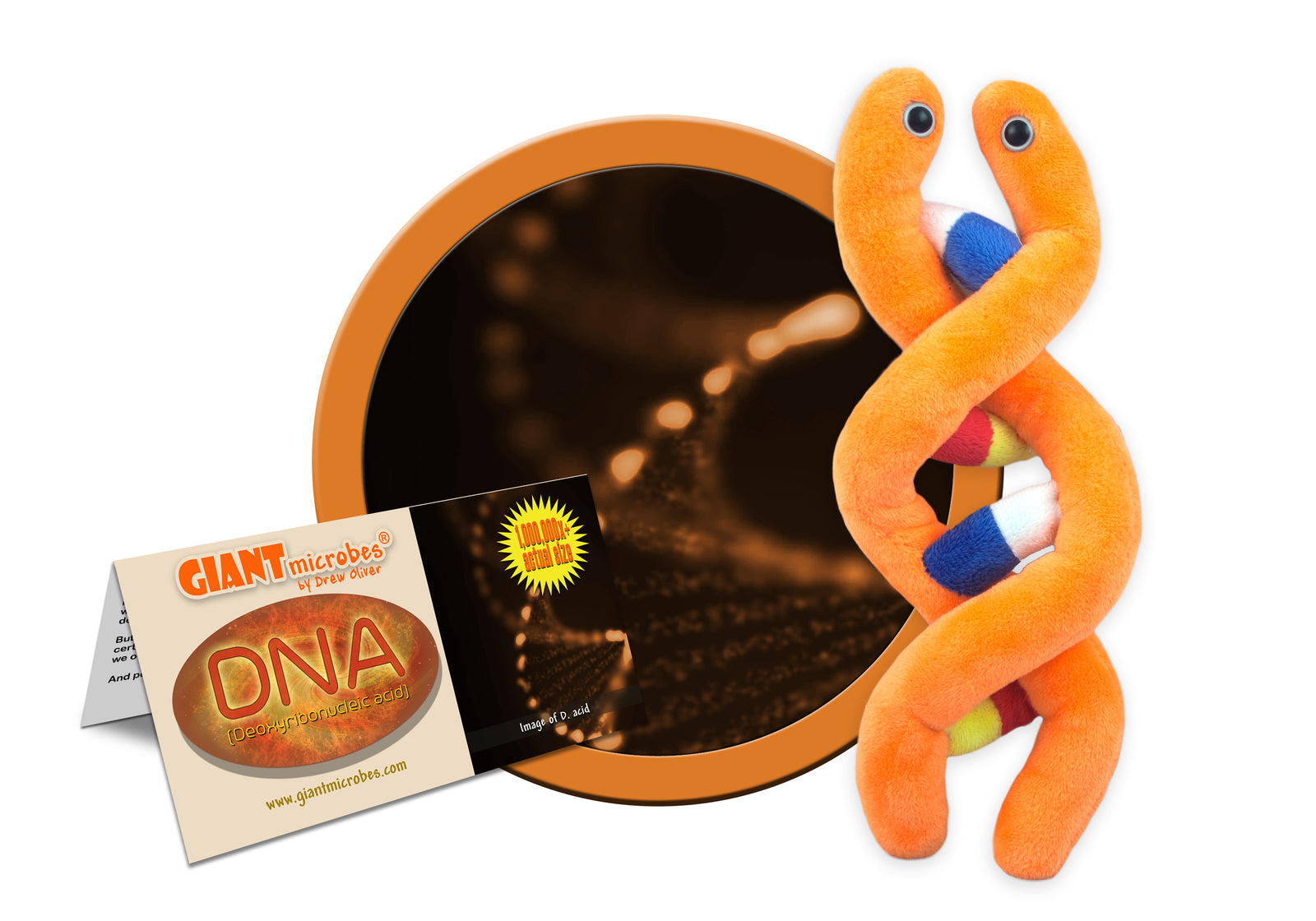 GIANTmicrobes DNA plush toy in boxed packaging, science gift for genetics or molecular biology students