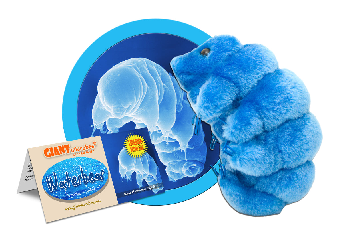 GIANTmicrobes tardigrade water bear plush in boxed packaging, science gift for biology or astrobiology students