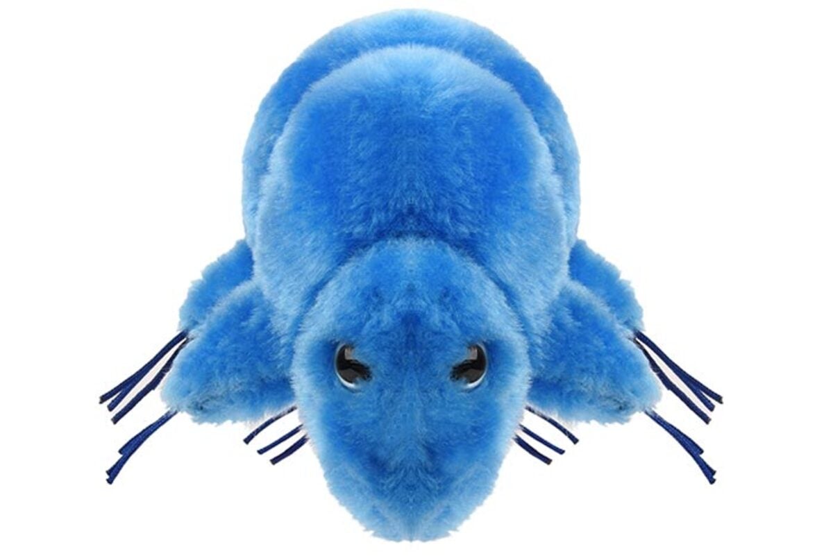 Water Bear (Tardigrade) Plush | Science Gift for Biologists
