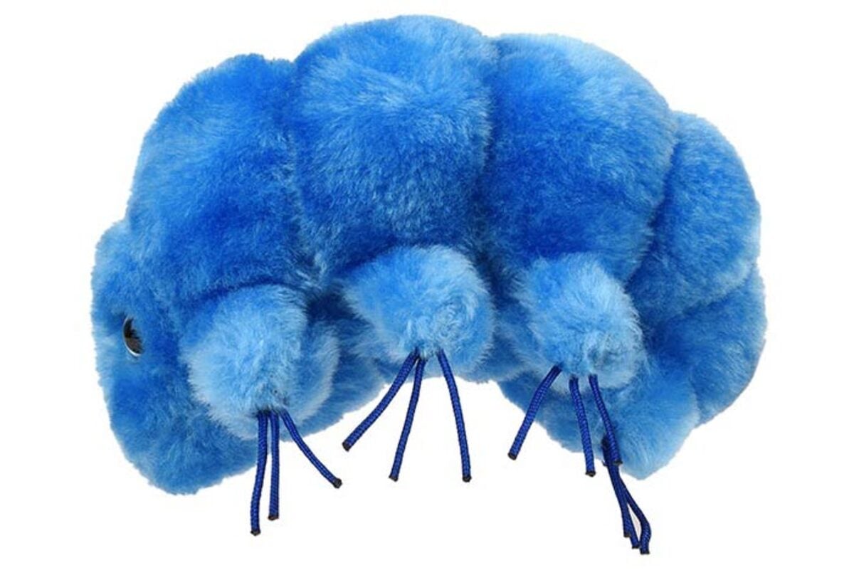 Water bear tardigrade plush toy side view showing soft texture and realistic detail, science gift