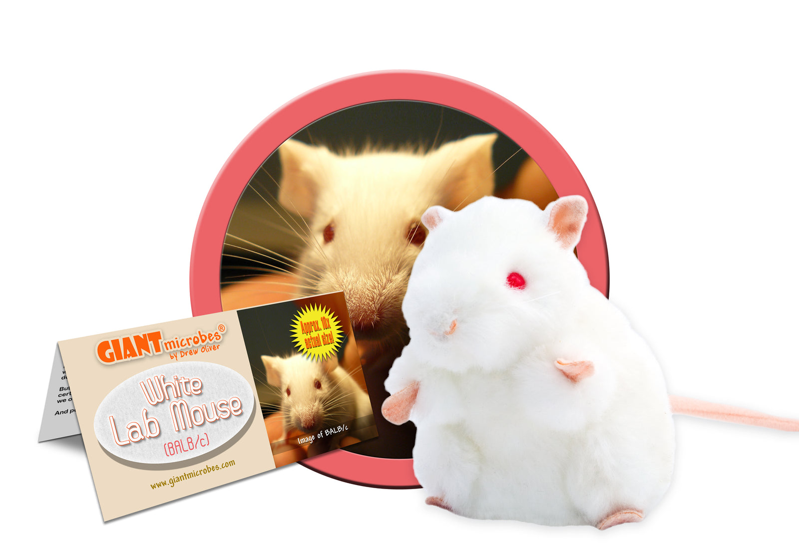 GIANTmicrobes white lab mouse plush in gift box packaging, science gift for neuroscience or biology students