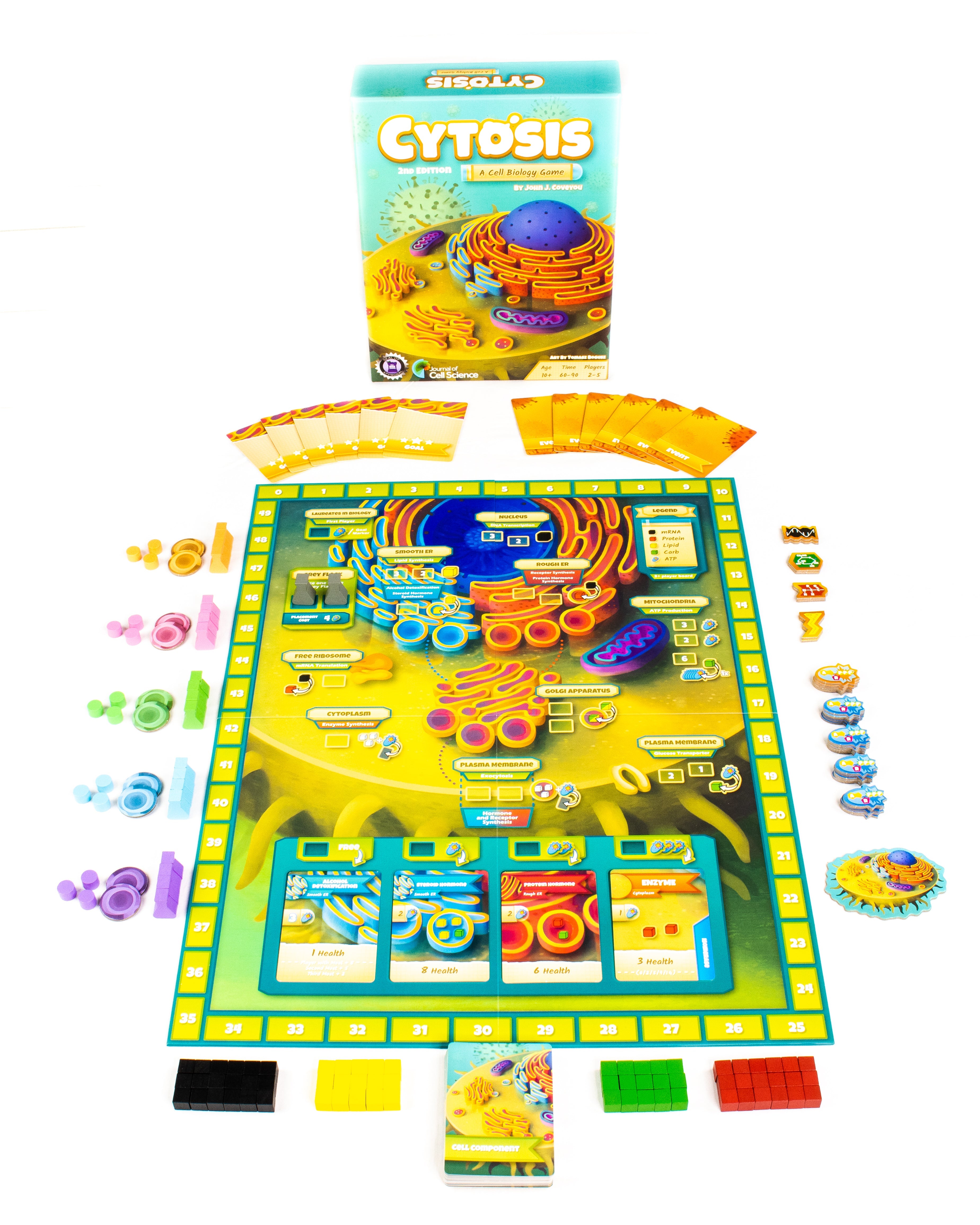 Cytosis game components and organelle cards spread on table, educational gift for biologists
