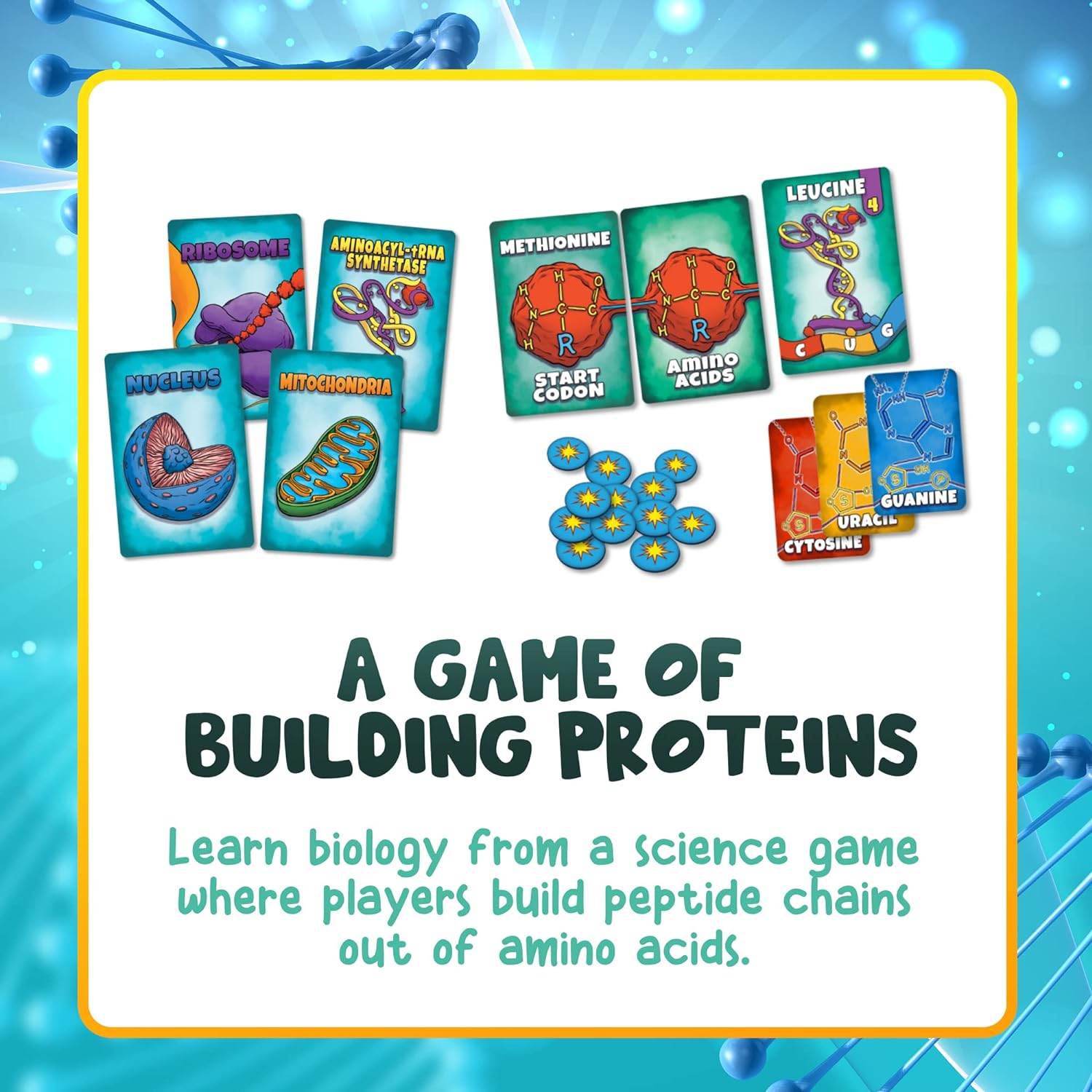 Peptide card game gameplay showing protein chain building strategy, educational gift
