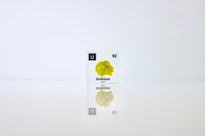Uranium Element Cube (2 inch Autunite)