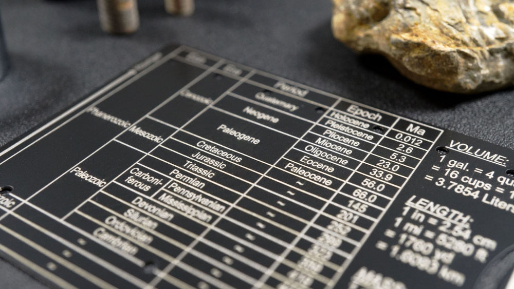 The Pocket Paleontologist Fossil hunting pocket tool Genius Lab Gear