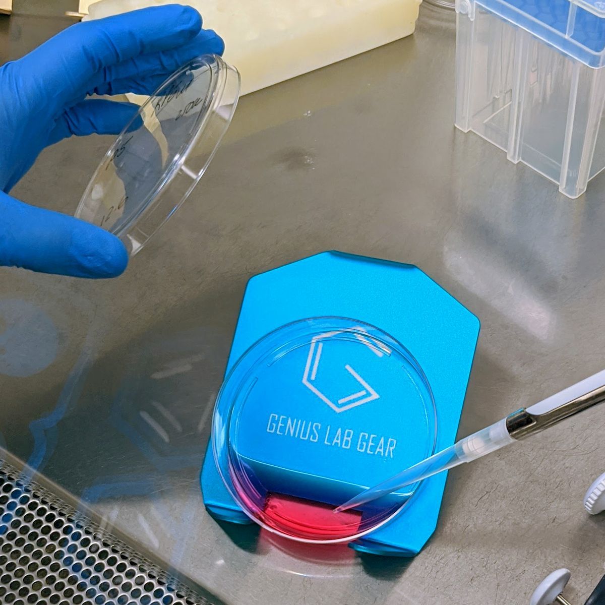 Genius Lab Gear's 100mm cell culture plate angled holder, gift for scientists