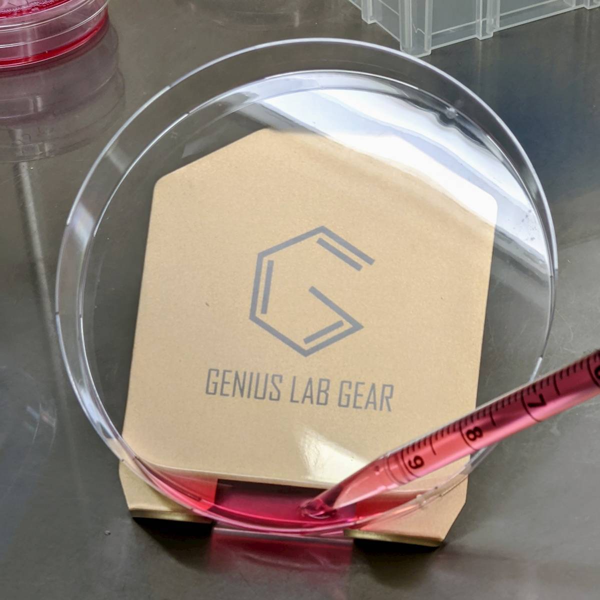 Genius Lab Gear's 150mm petri dish angled stand, gift for scientists