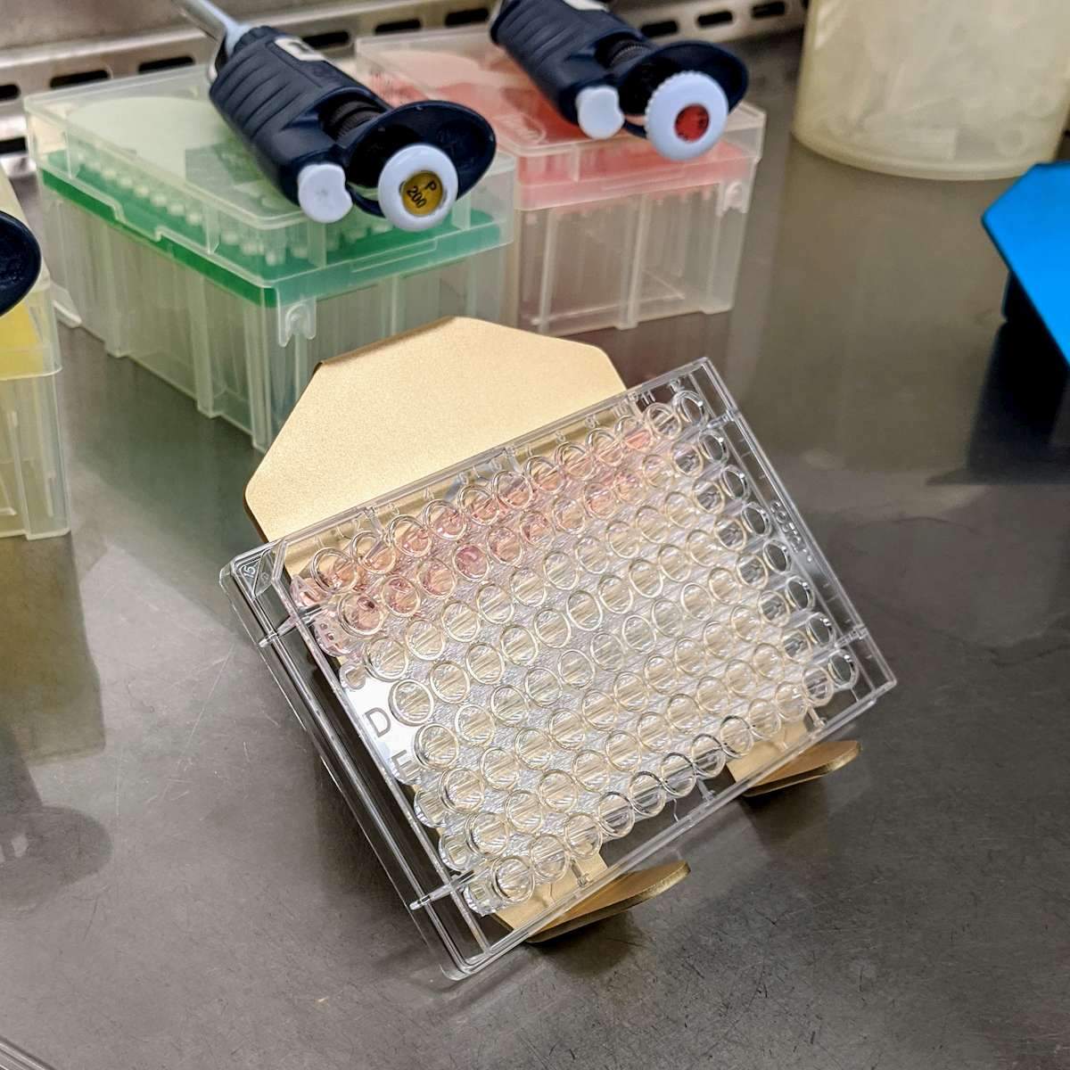 Genius Lab Gear's 96 well microplate angled ergonomic media exchange stand, gift for scientists