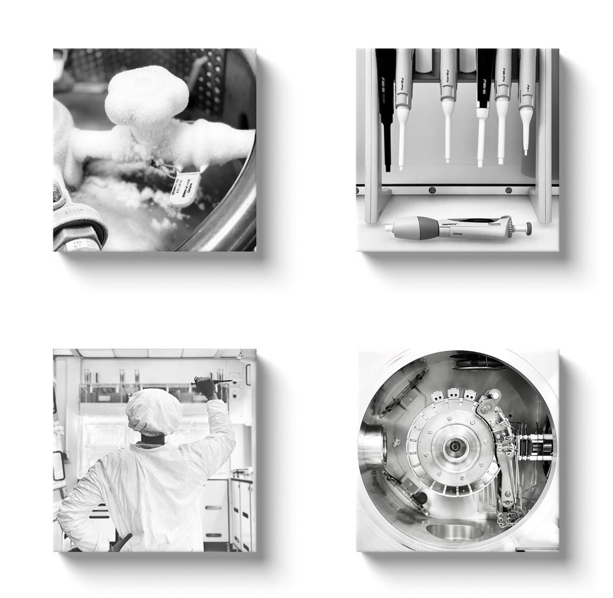 Laboratory photo art 2 by 2 tiled square canvas