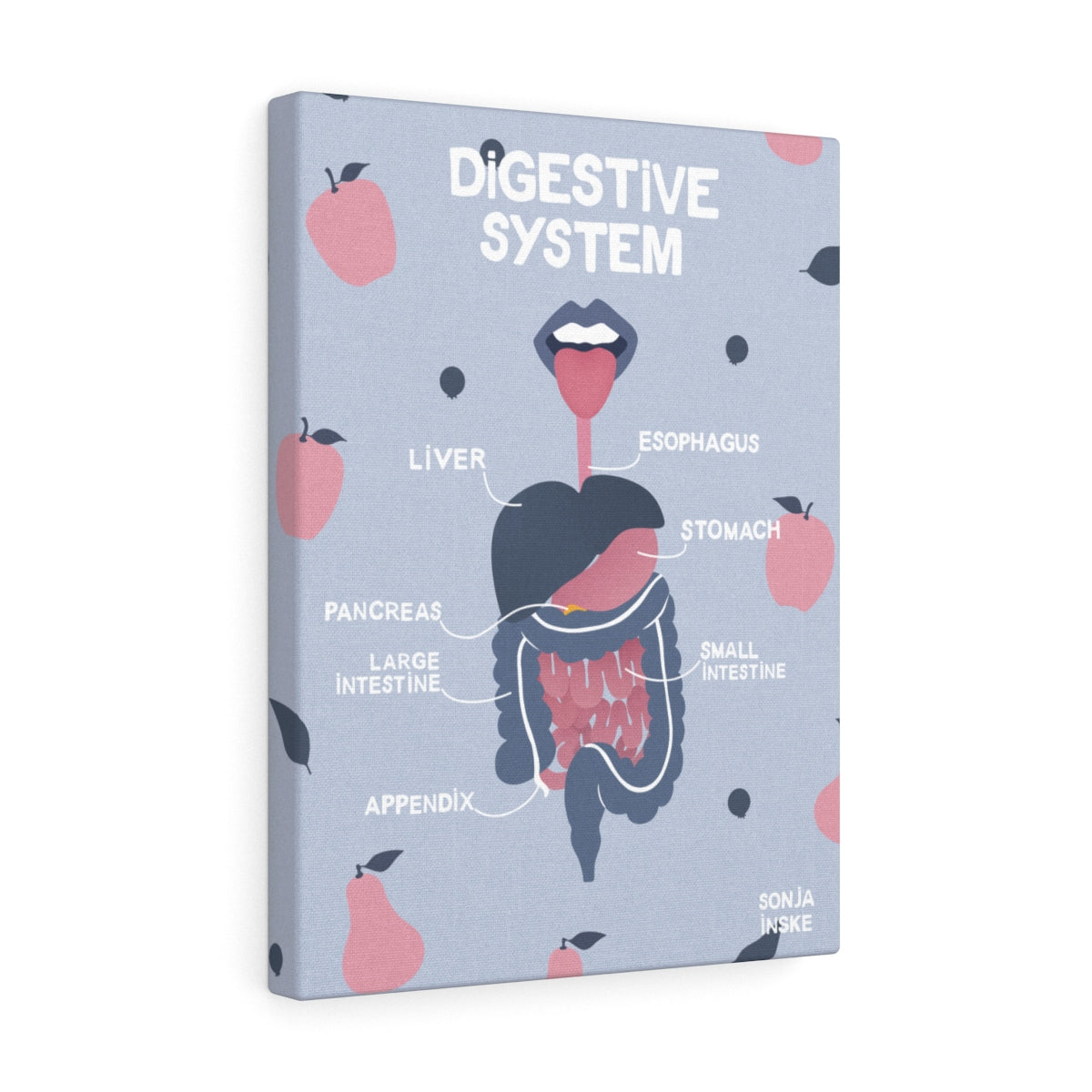 Digestive system anatomy illustration biology science wall art canvas