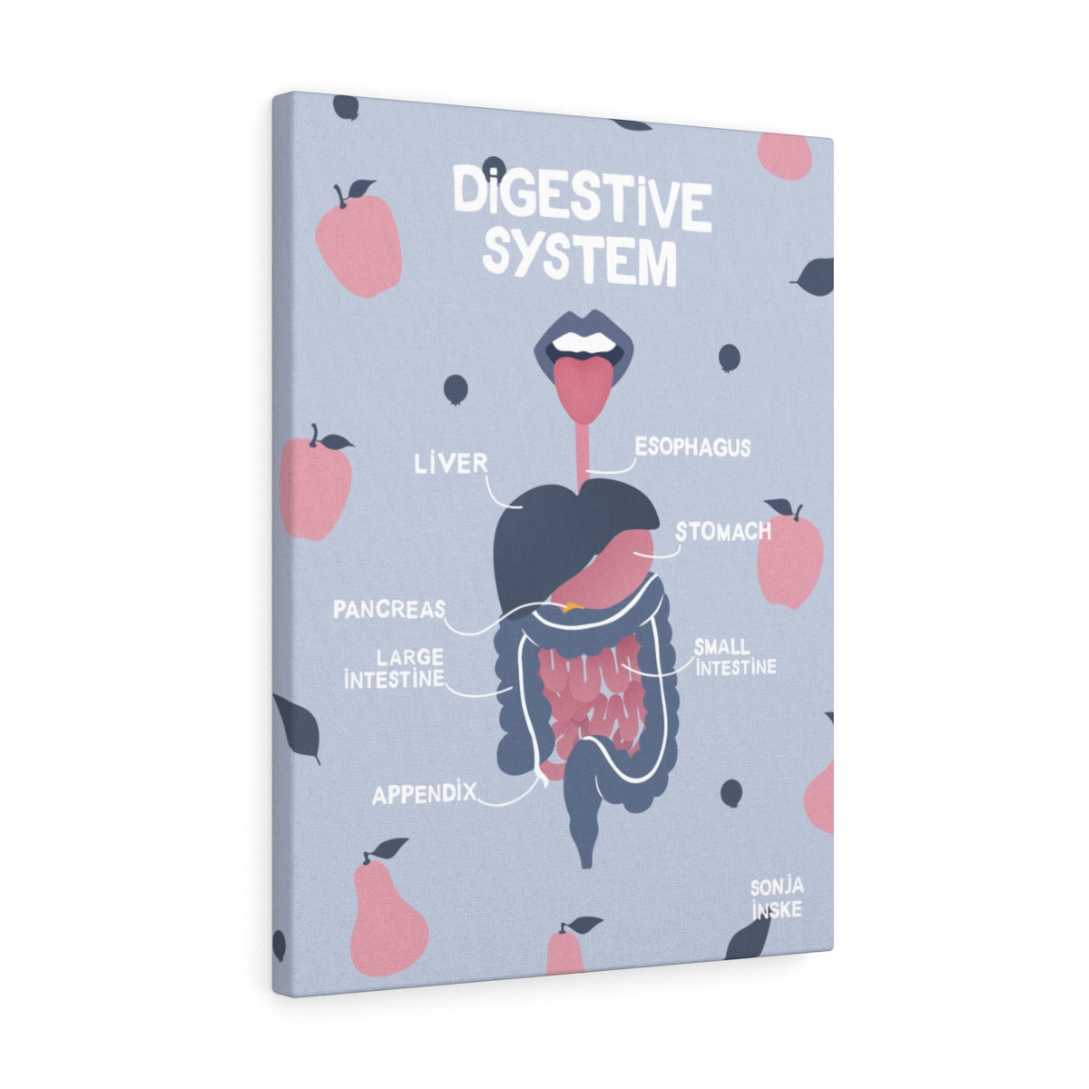 Digestive system anatomy illustration biology science wall art canvas