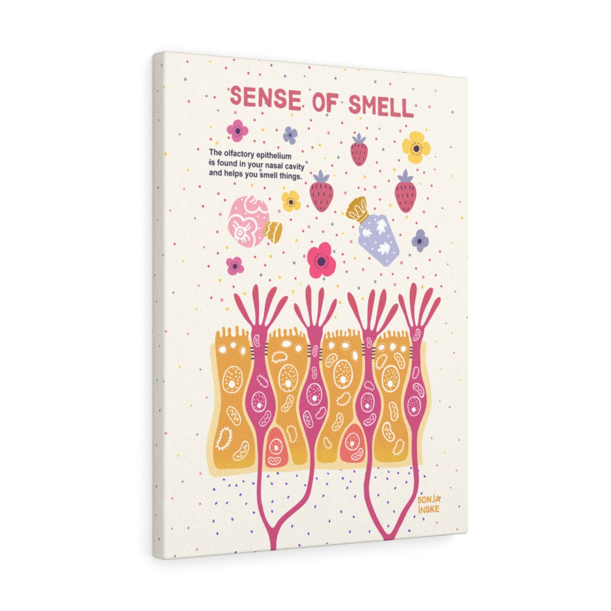 Olfactory sense of smell diagram anatomy illustration biology science wall art canvas