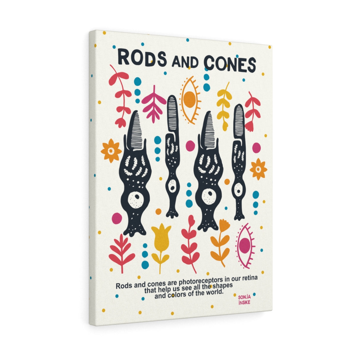 Rods and cones vision seeing colors anatomy illustration biology science wall art canvas