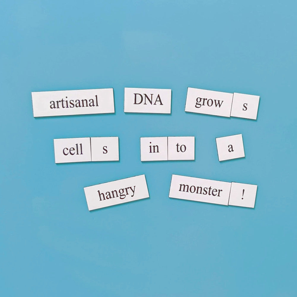 Academia Word Magnets - Genius Lab Gear