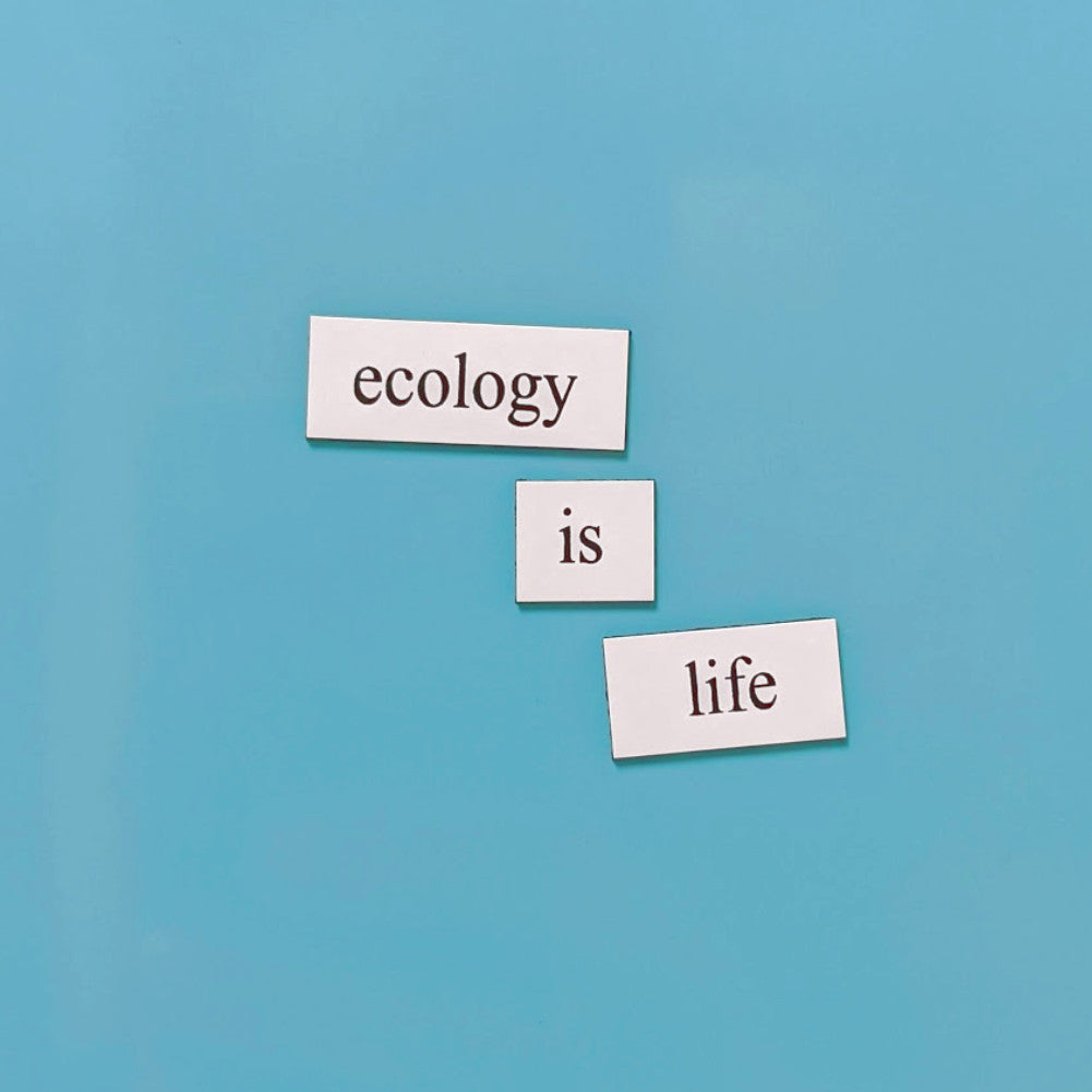 Genius Lab Gear's ecology word magnets, gift for scientists