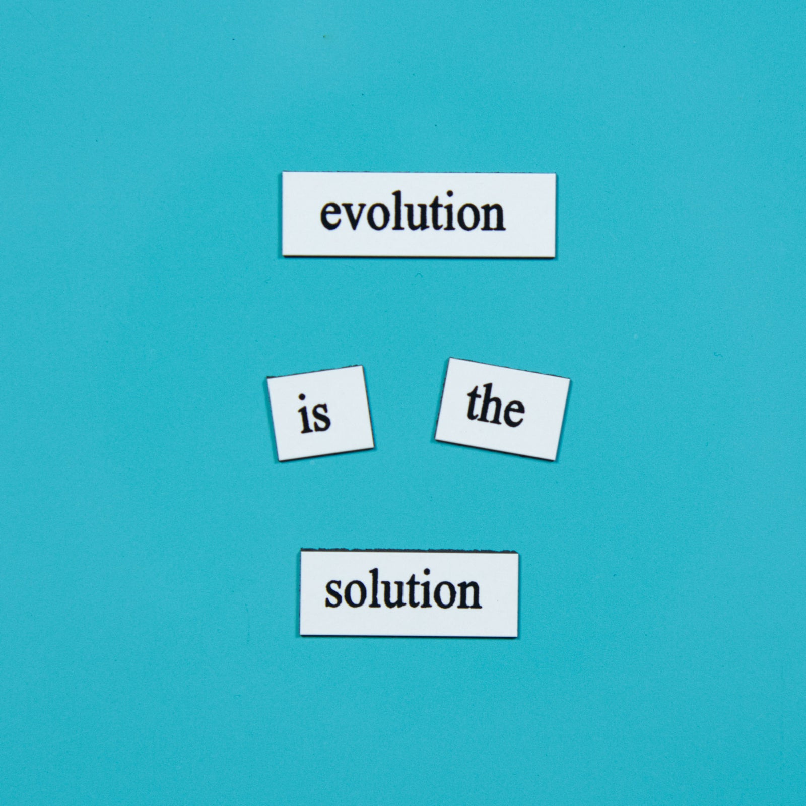 Genius Lab Gear's evolution is the solution biology phd word magnets, gift for scientists