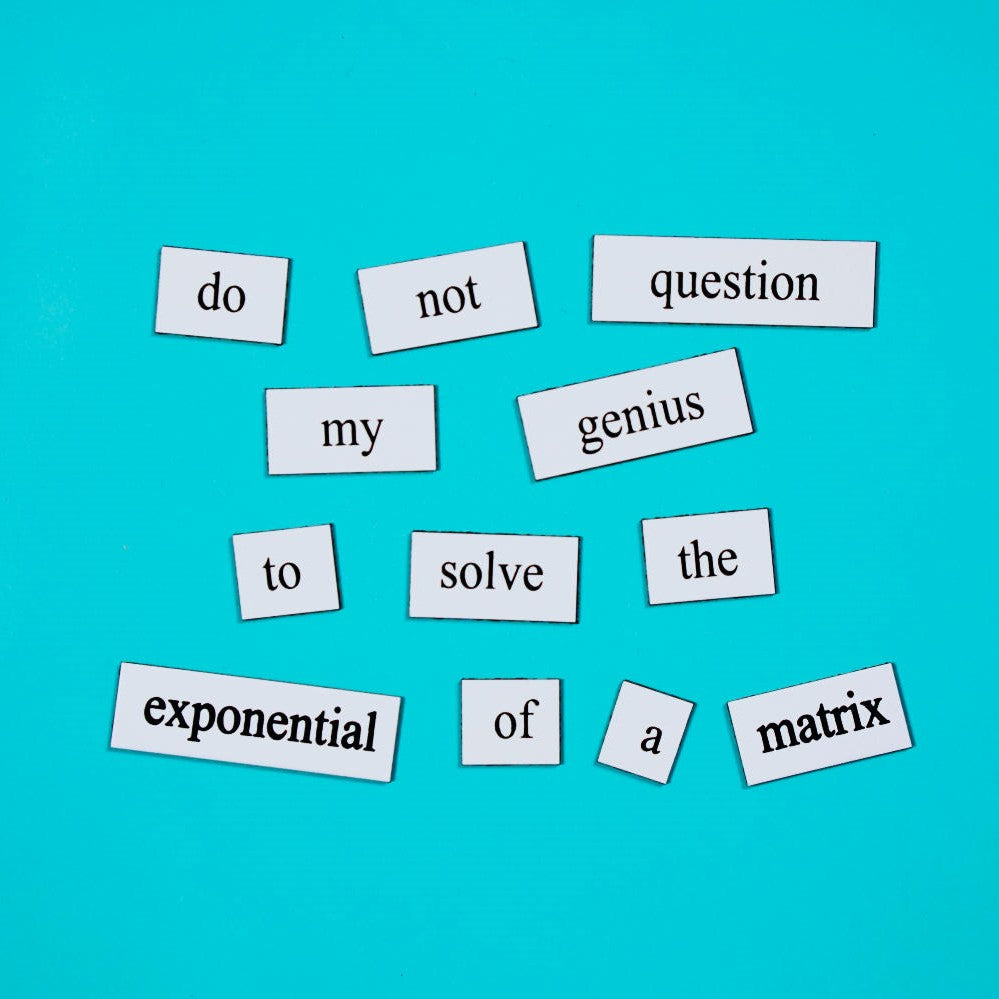 Exponential matrix math word magnets, gift for scientists
