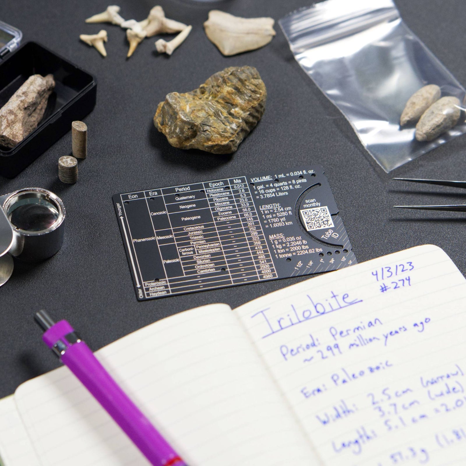 Pocket Paleontologist with simple GSA geologic time scale reference card for field notes in paleontology, gift for scientists