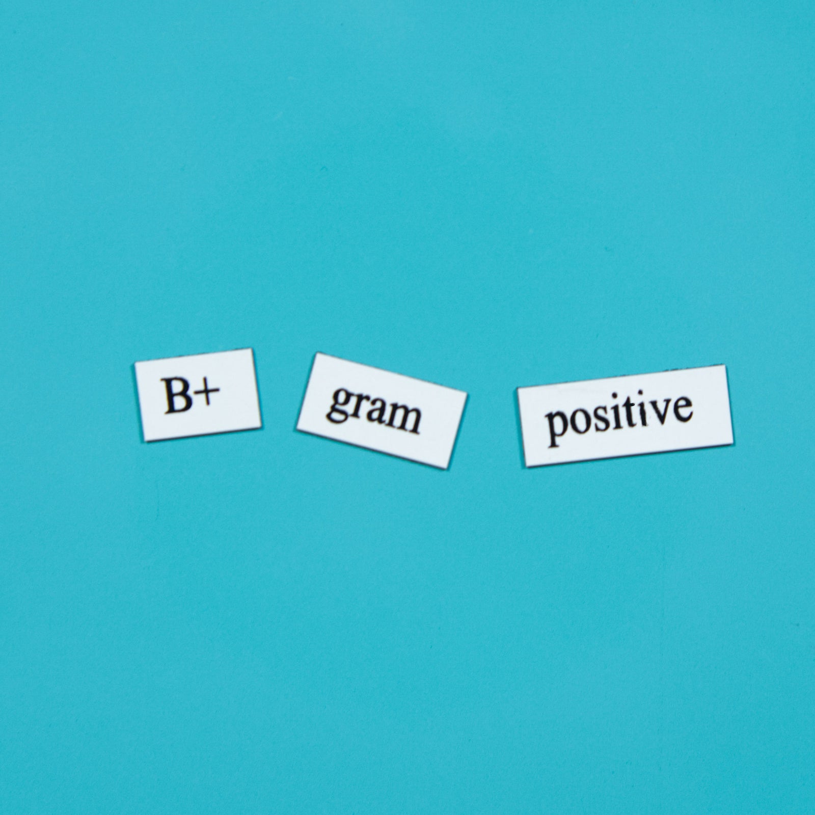 Genius Lab Gear's b+ gram positive biology magnetic poetry, gift for scientists