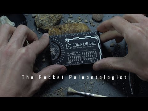 Video of Pocket Paleontologist black metal tool measuring trilobite fossil in laboratory